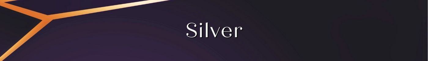 Silver Coins Category