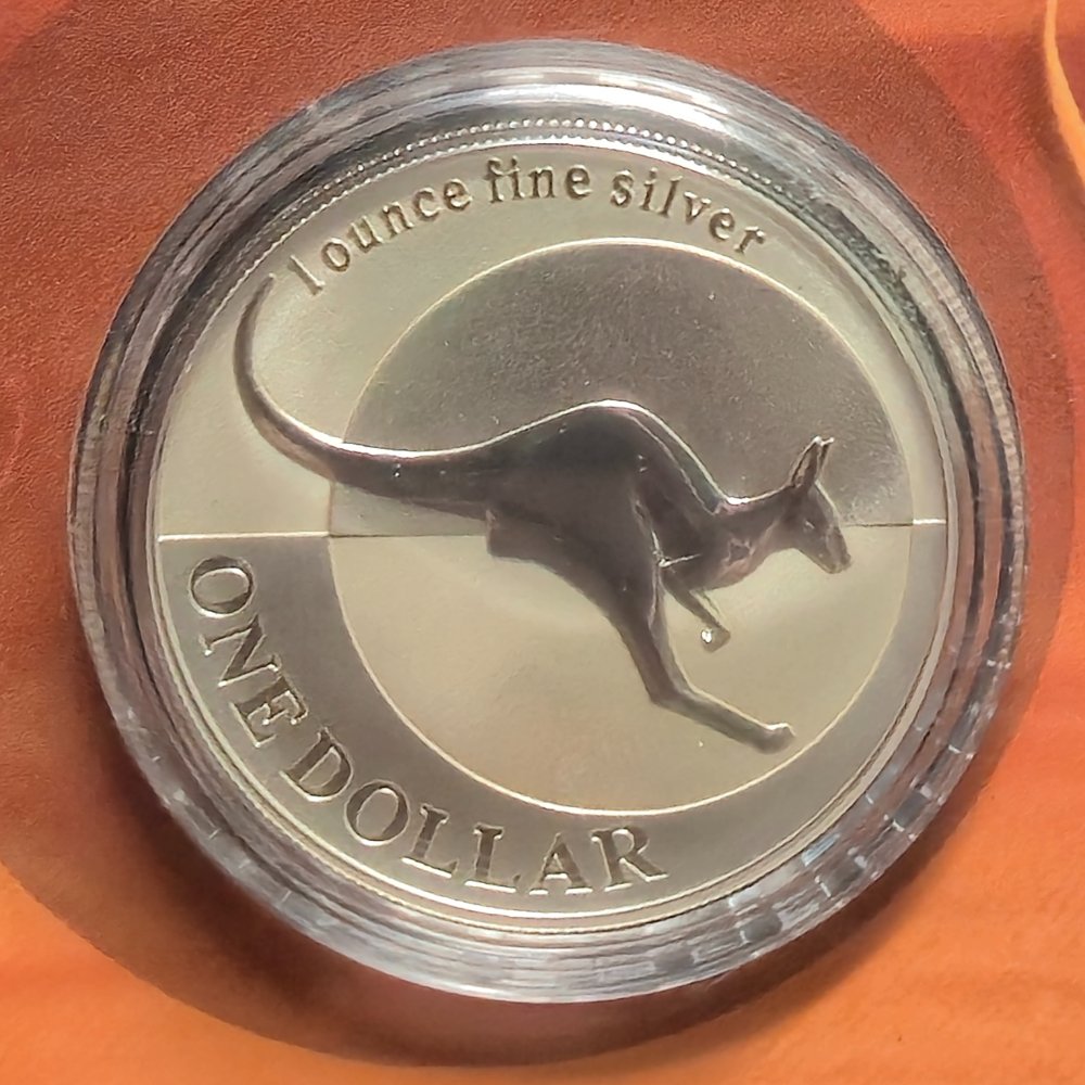 2004 1oz Kangaroo Silver Frosted Uncirculated Coin
