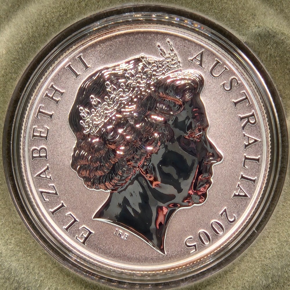 2005 $1 Selectively Gold Plated Silver Kangaroo