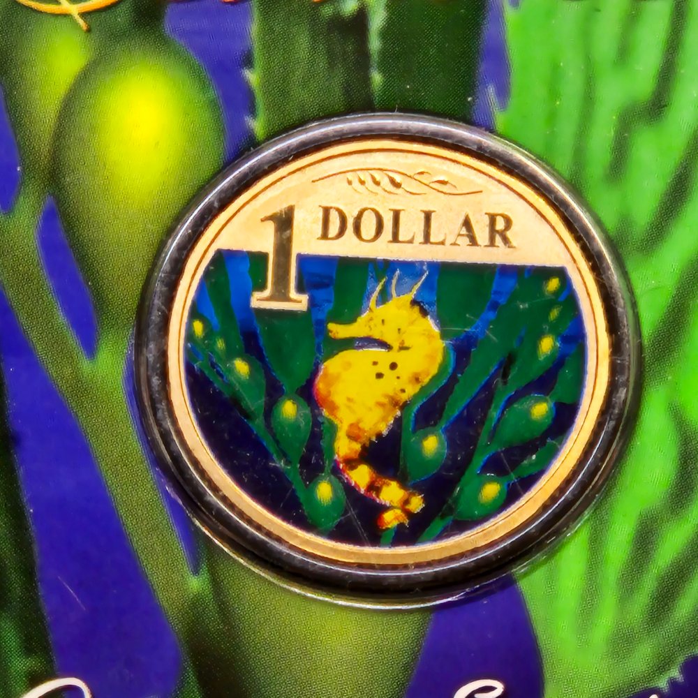 2007 $1 Ocean Series - Bigbelly Seahorse - Coloured Uncirculated Coin