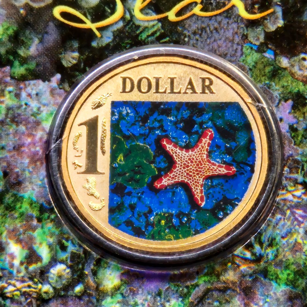 2007 $1 Ocean Series - Biscuit Star - Coloured Uncirculated Coin