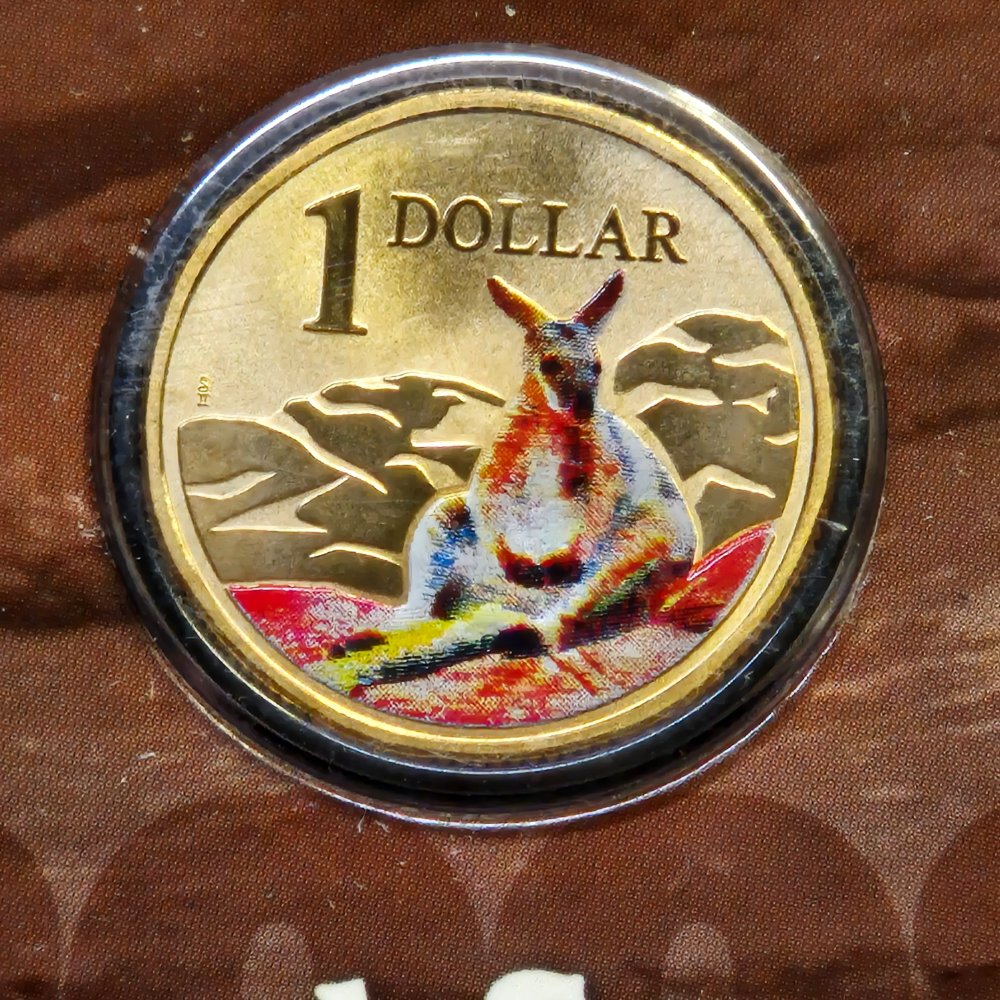 2008 $1 Land Series - Rock Wallaby - Coloured Uncirculated Coin