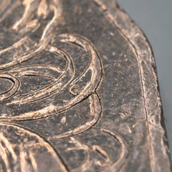 Close up 2012 50c bubble above emus back on reverse of Australian coin