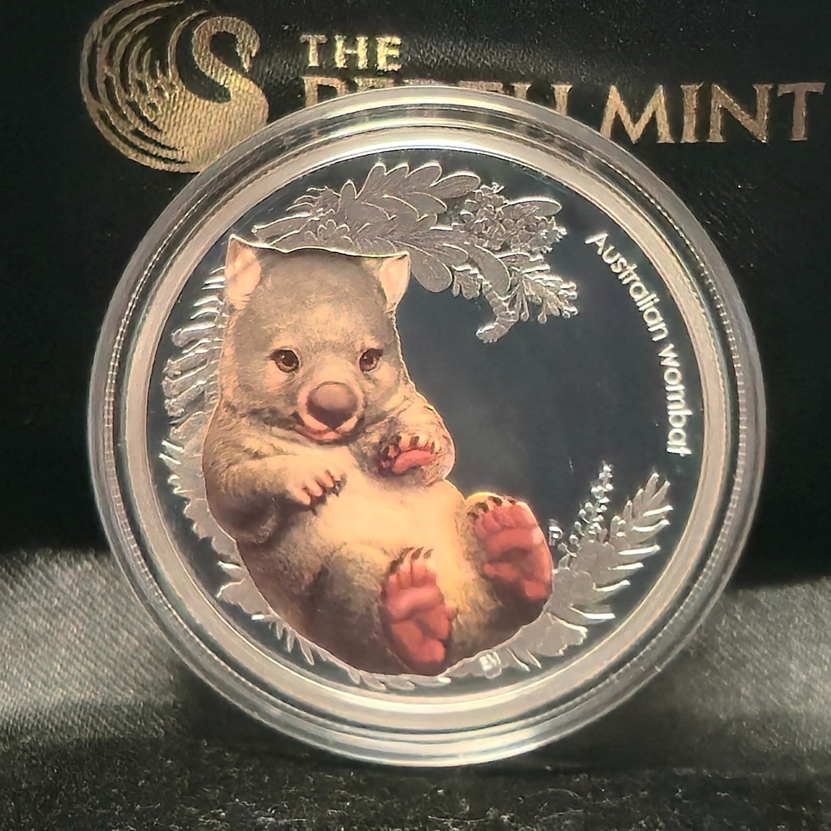 2013 50c Bush Babies II Wombat 1/2oz Silver Proof