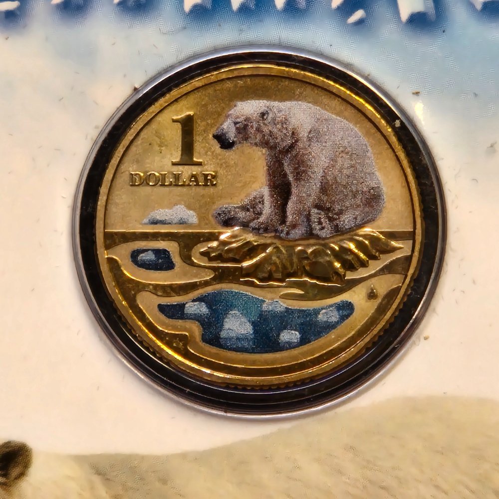 2013 $1 Polar Animals - Polar Bear - Coloured Uncirculated Coin