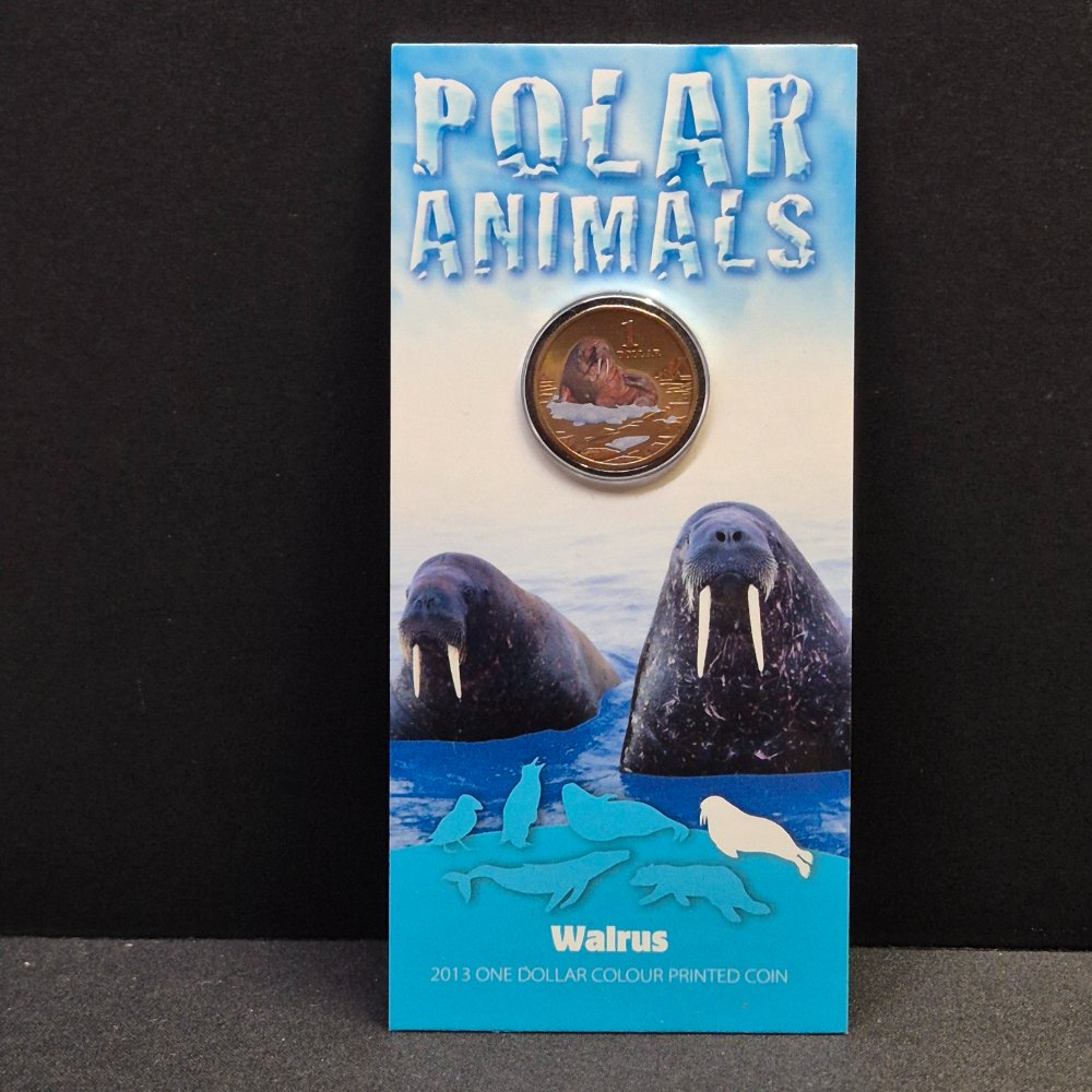 2013 $1 Polar Animals - Walrus - Coloured Uncirculated Coin