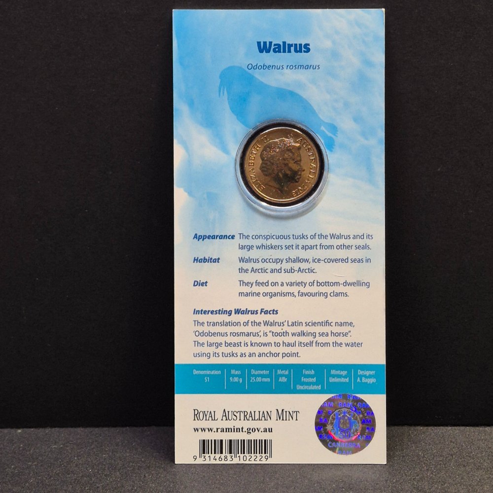 2013 $1 Polar Animals - Walrus - Coloured Uncirculated Coin
