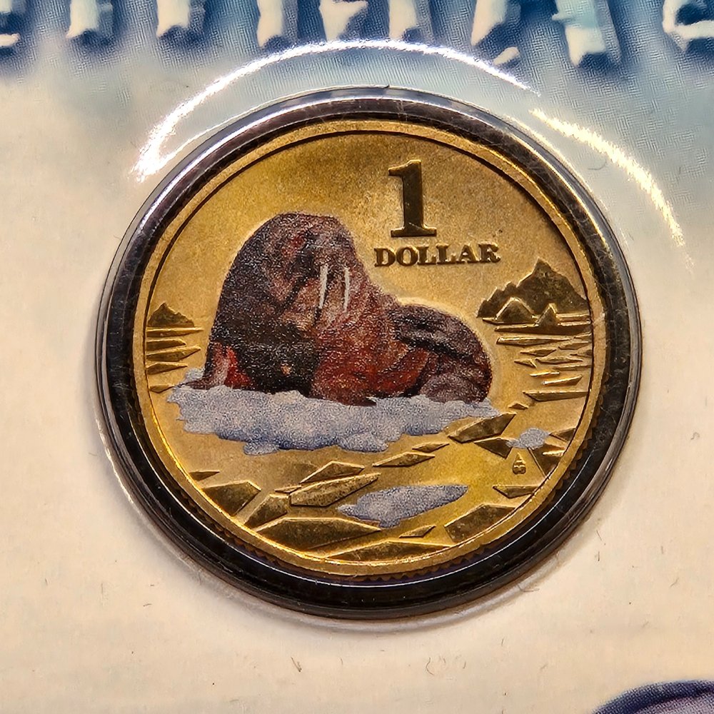 2013 $1 Polar Animals - Walrus - Coloured Uncirculated Coin