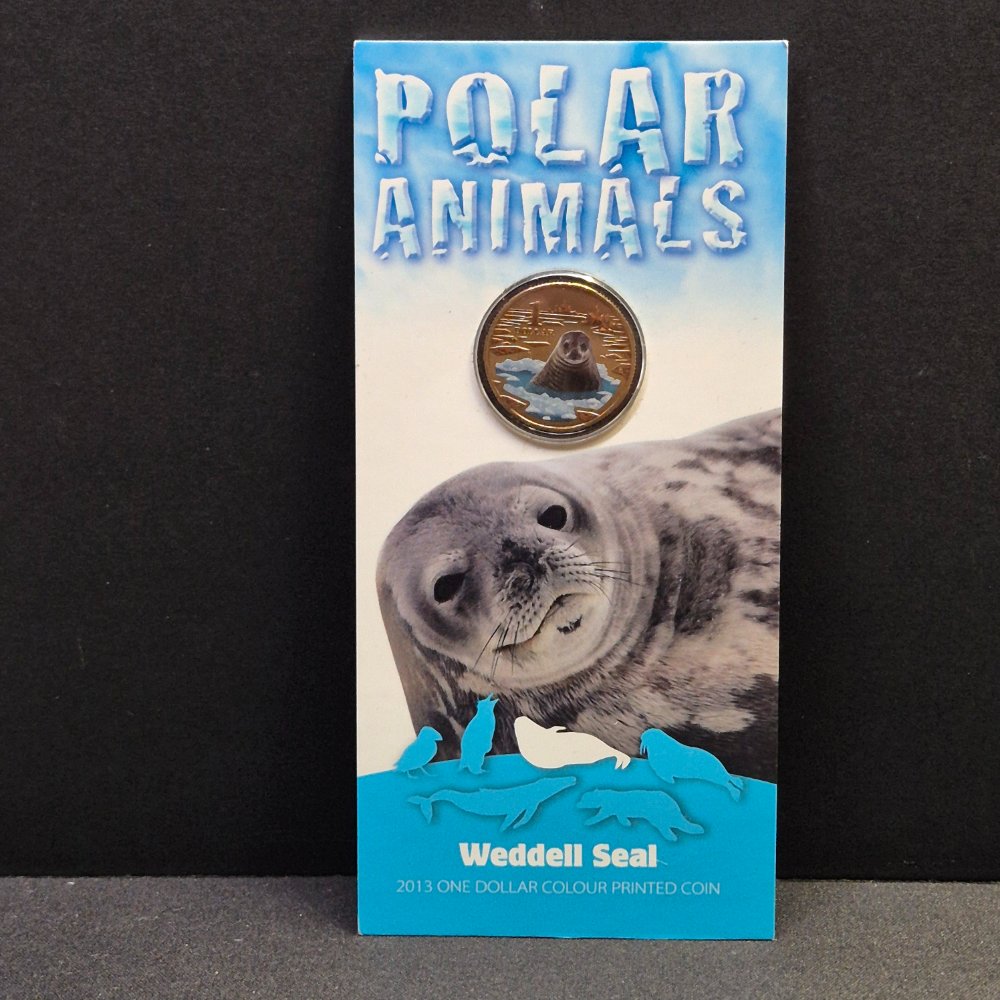 2013 $1 Polar Animals - Weddell Seal - Coloured Uncirculated Coin