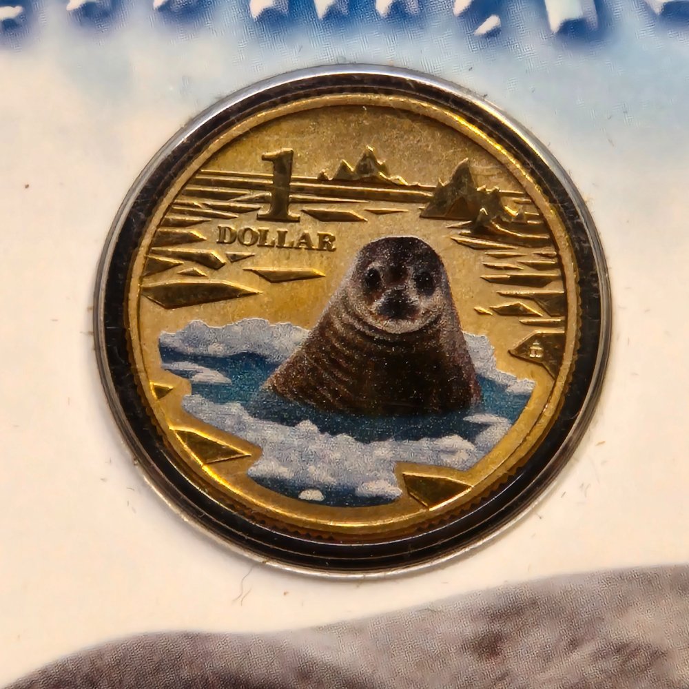 2013 $1 Polar Animals - Weddell Seal - Coloured Uncirculated Coin