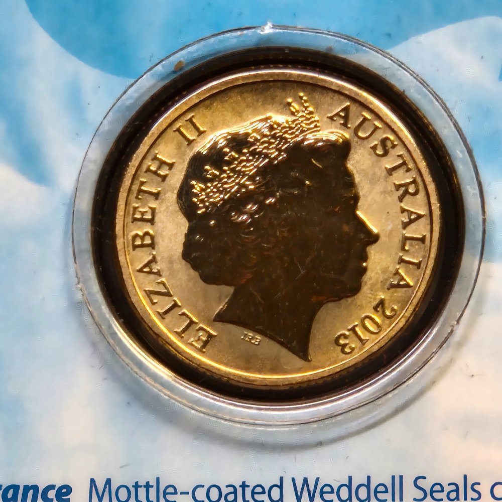 2013 $1 Polar Animals - Weddell Seal - Coloured Uncirculated Coin