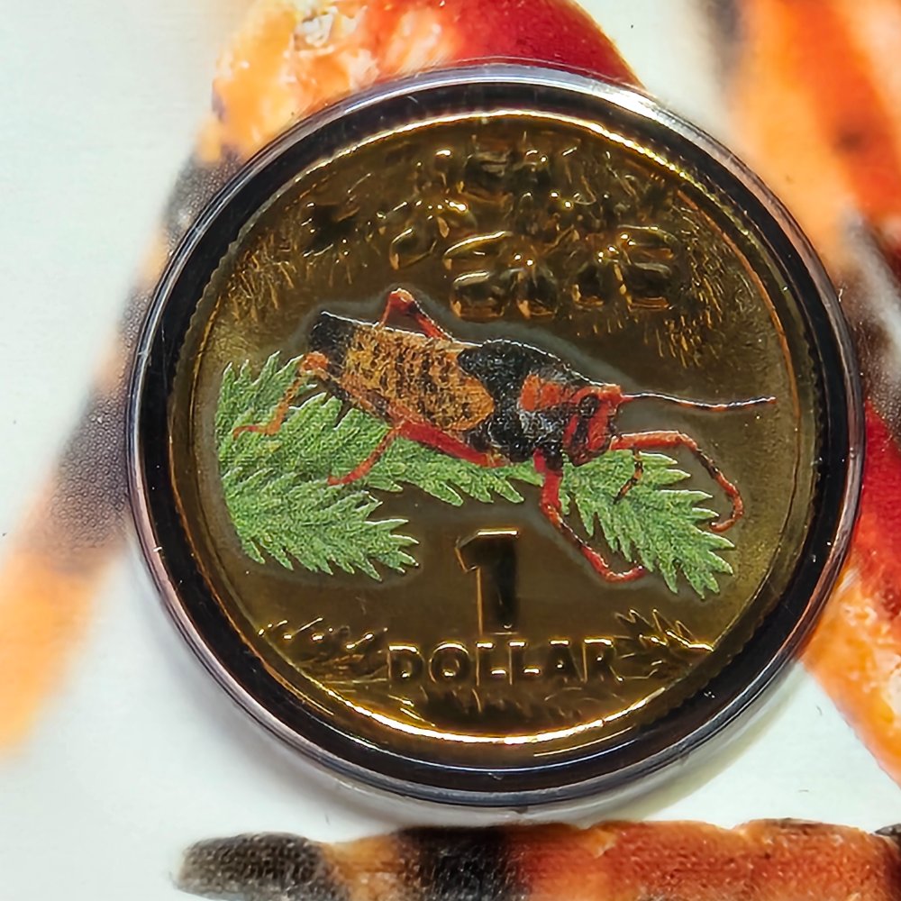 2014 $1 Bright Bugs - Leichhardt's Grasshopper Coloured Uncirculated Coin