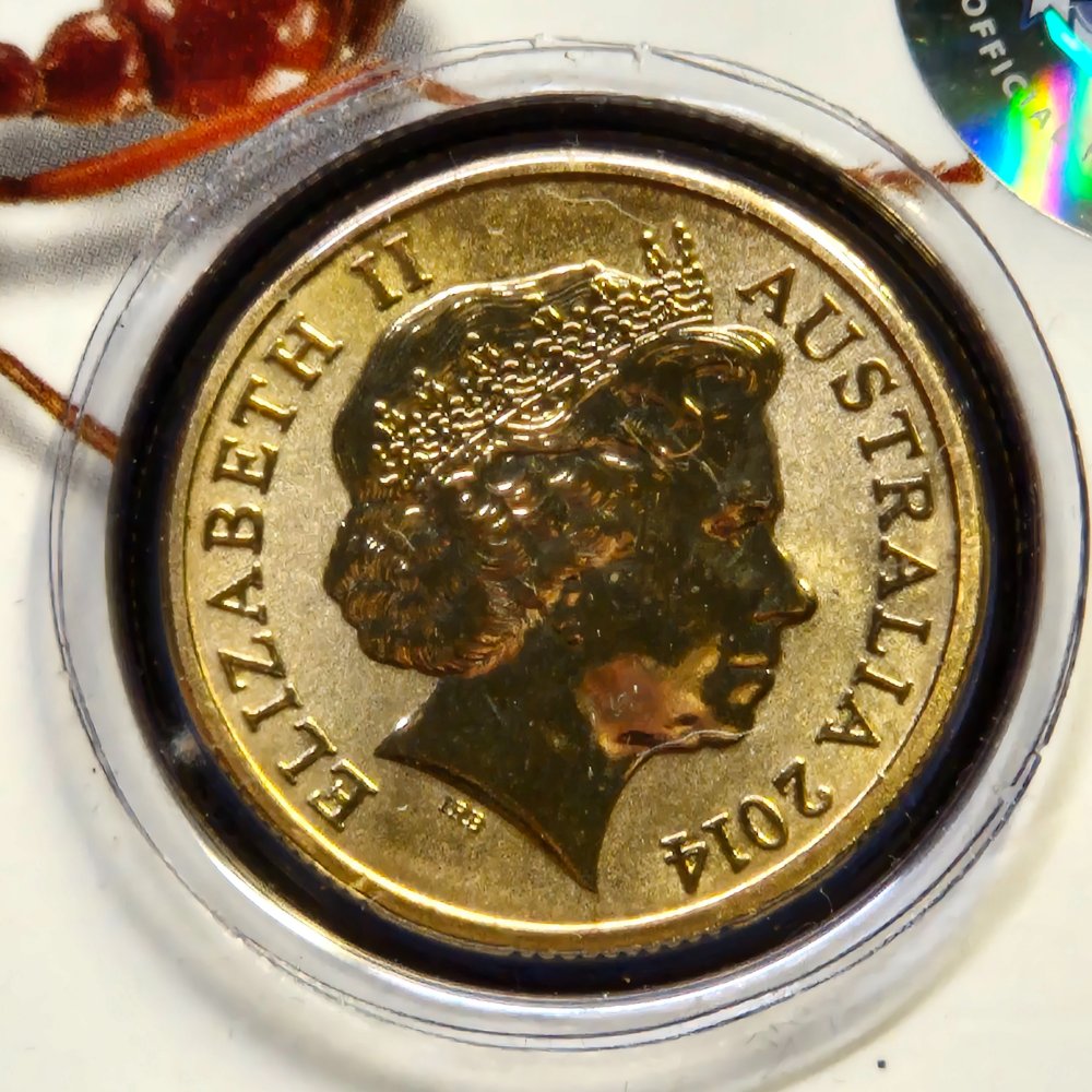 2014 $1 Bright Bugs - Red Bull Ant Coloured Uncirculated Coin