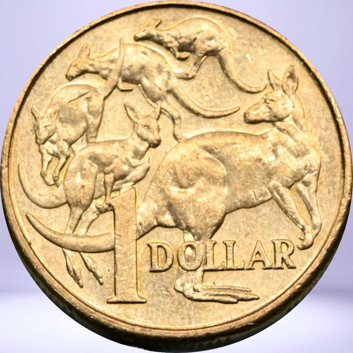 2016 $1 Changeover circulated reverse