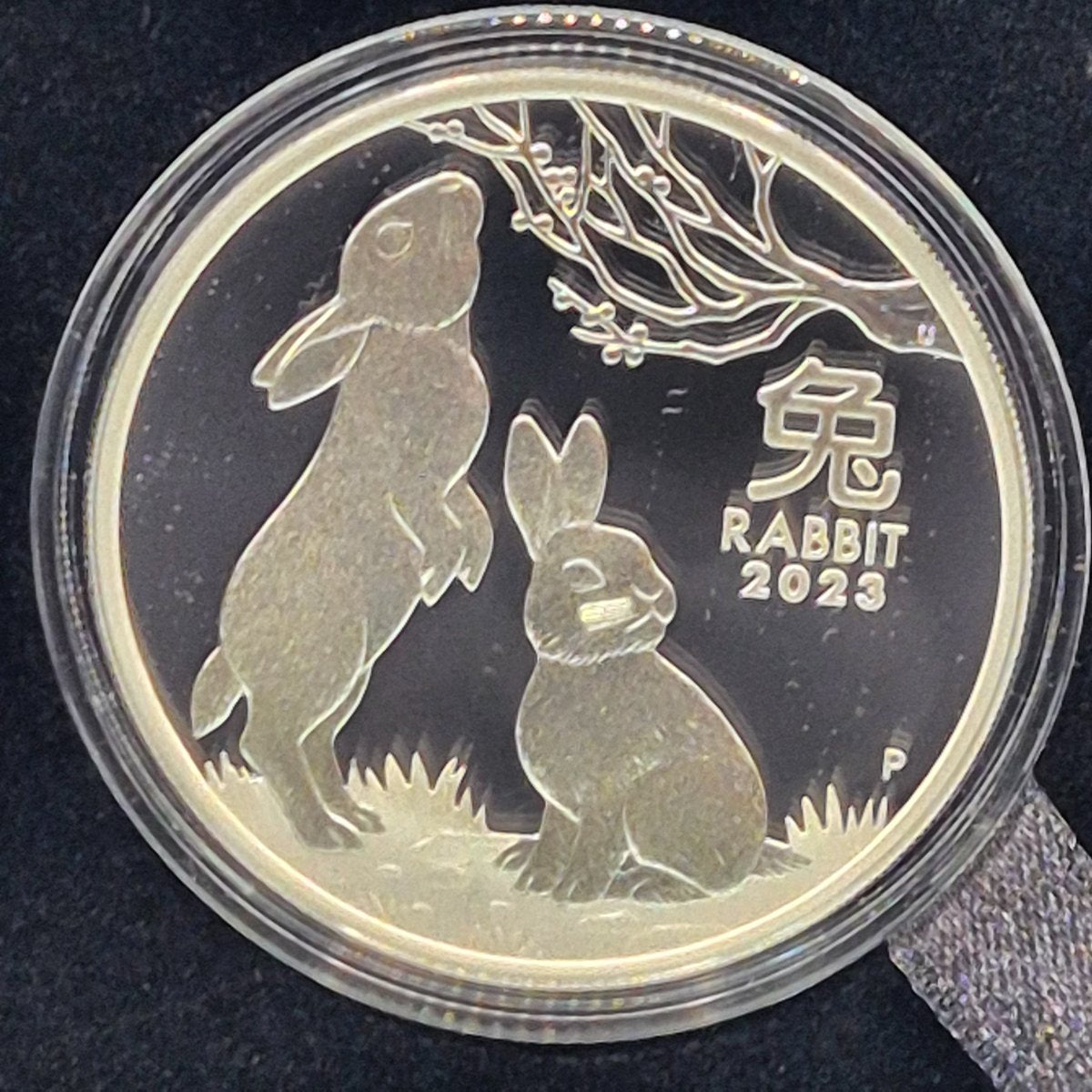 2023 Perth Mint 1oz Australian Lunar Series III Year of the Rabbit reverse
