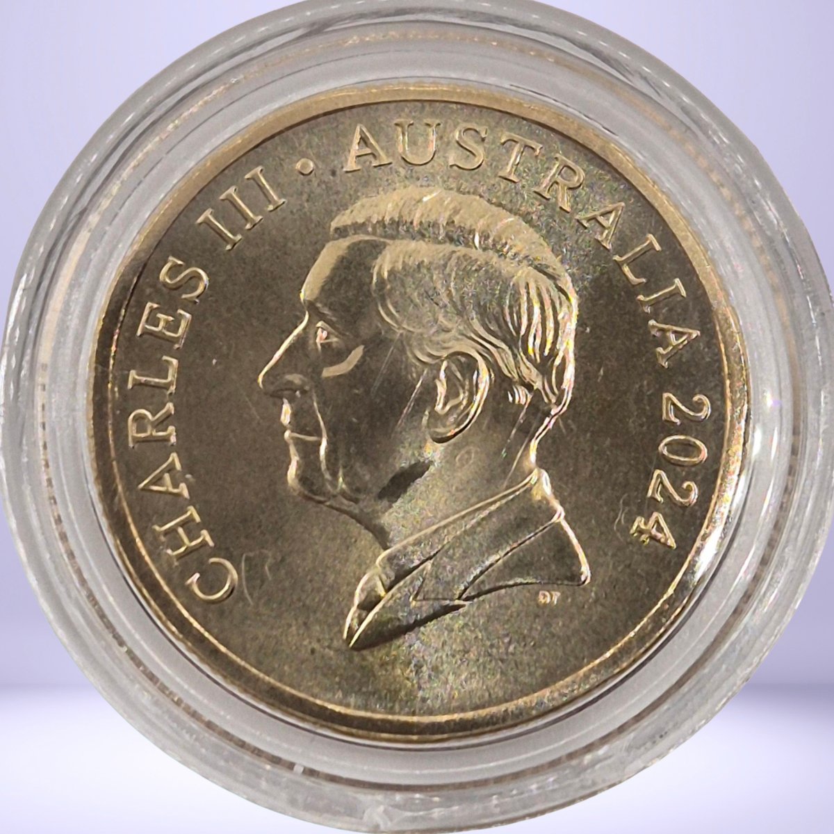 Obverse 2024 $1 Bluey Dollar Buck coloured coin