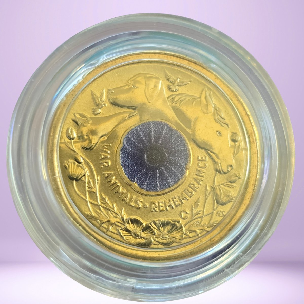 $2 coin with a design of horse, dog, cat, pigeons and poppies - raised text 'War Animals Remembrance' - 'C' Mintmark - encased - reverse of coin on card close up