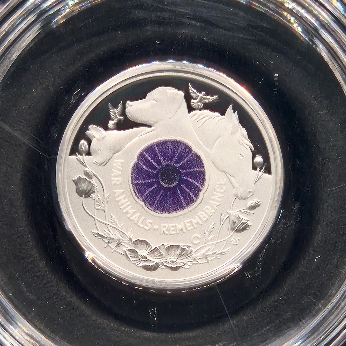 Reverse 2024 $2 Silver 'C' Mintmark coloured War Animals Remembrance coin