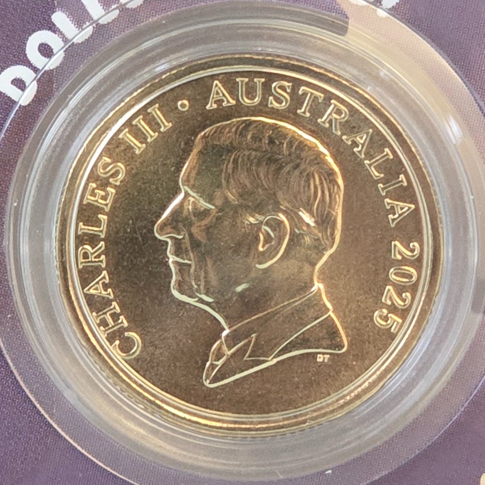 2025 $1 Bluey Christmas AlBr Carded coin