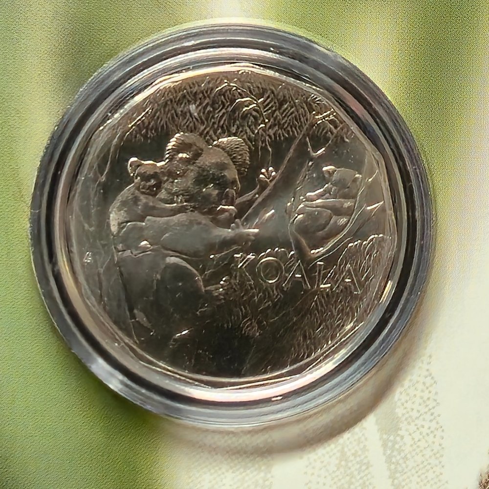 2026 50c Koala Series Carded Coin | Phoenyx Curios